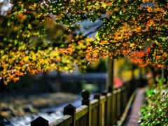 2025-11-02_紅の吊橋-2