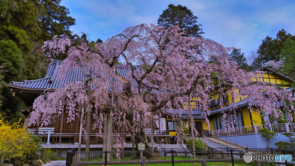 2022-04-03_太山寺-1