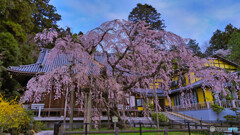 2022-04-03_太山寺-1