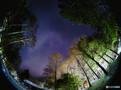 2022-01-09_戦場ヶ原