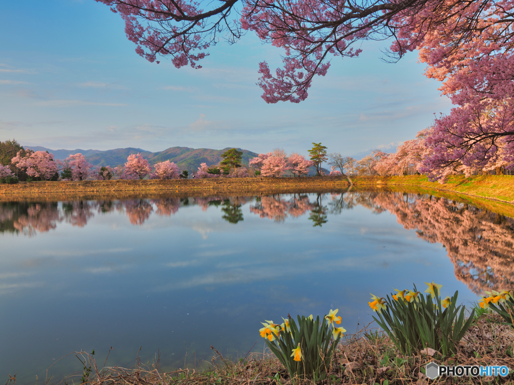 2021-04-02_六道の堤(7)