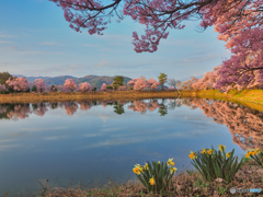 2021-04-02_六道の堤(7)