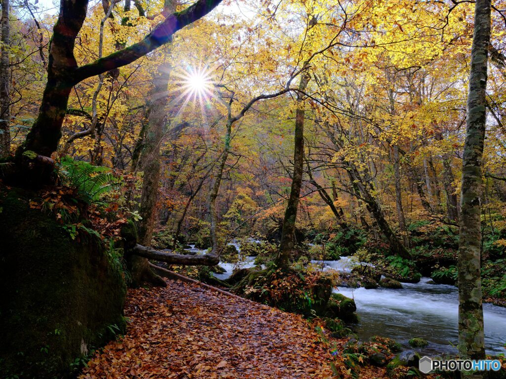 2021-10-29_奥入瀬渓流-10