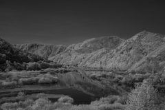 2023-05-03_五十里湖-2