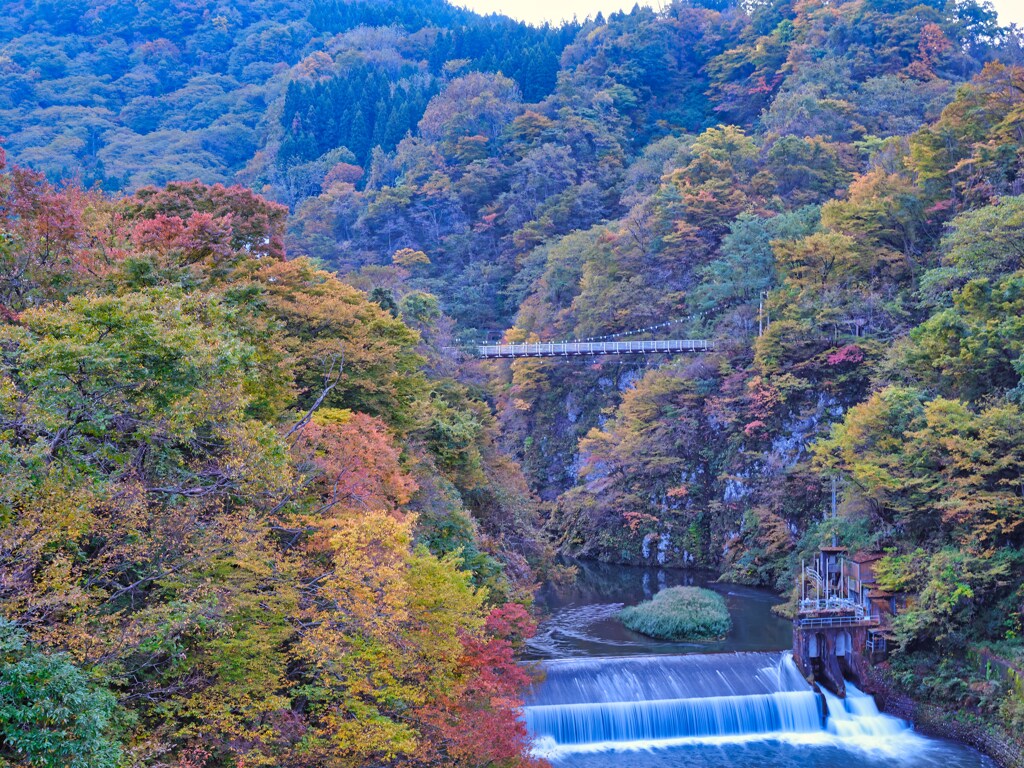 2023-10-28_ふれあい吊り橋と亀の滝(梵字川渓谷)
