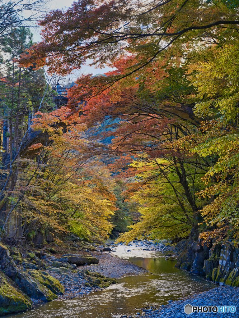 2021-11-06_大芦渓谷 白井平橋-3