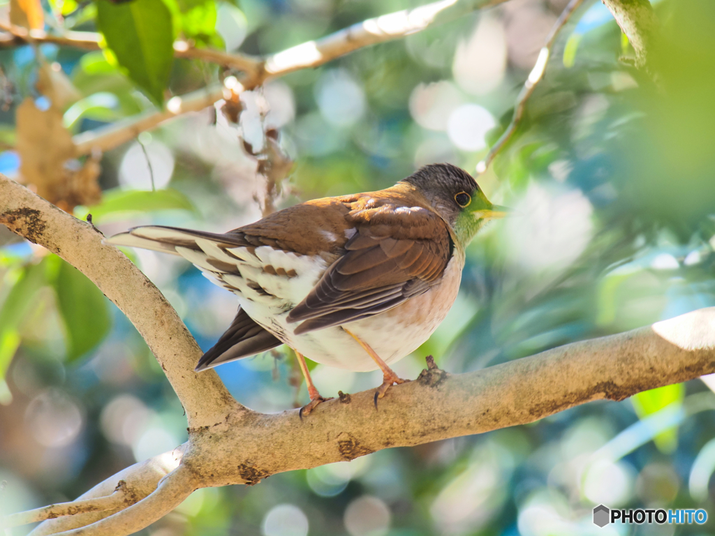 2021-12-28_栃木県 井頭公園-2