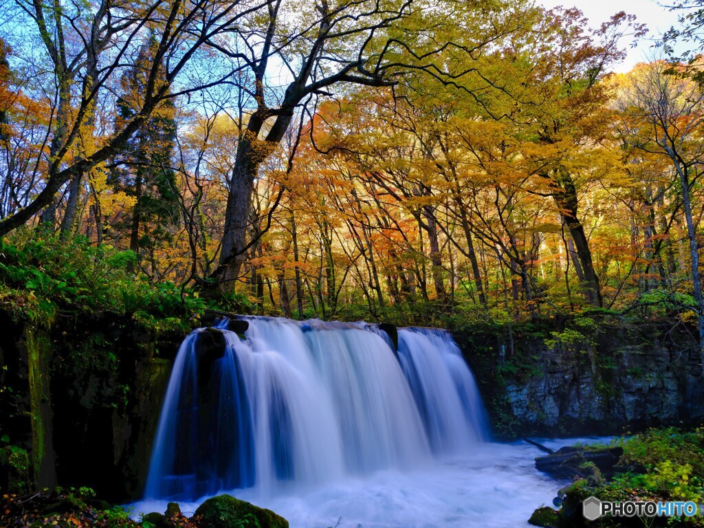 2021-10-29_奥入瀬渓流-1