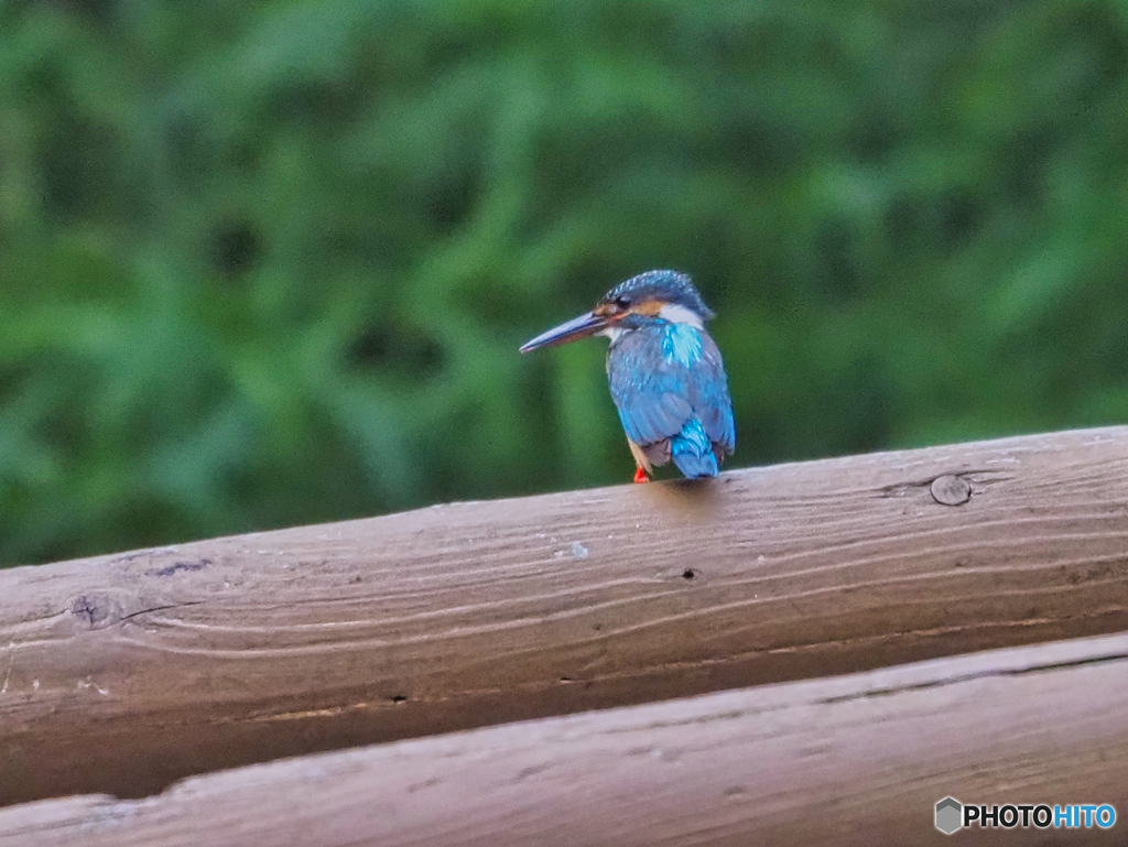 2021-07-16_近くの公園-2