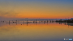 2021-11-20_西印旛沼-4