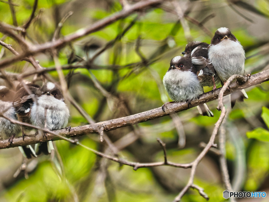 2022-05-20_中禅寺湖畔ボートハウス前駐車場