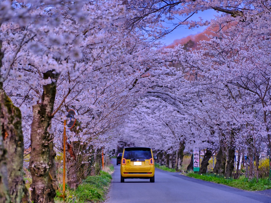 2022-04-03_太平山遊覧道路-3