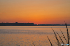 2020-06-20_涸沼(3)