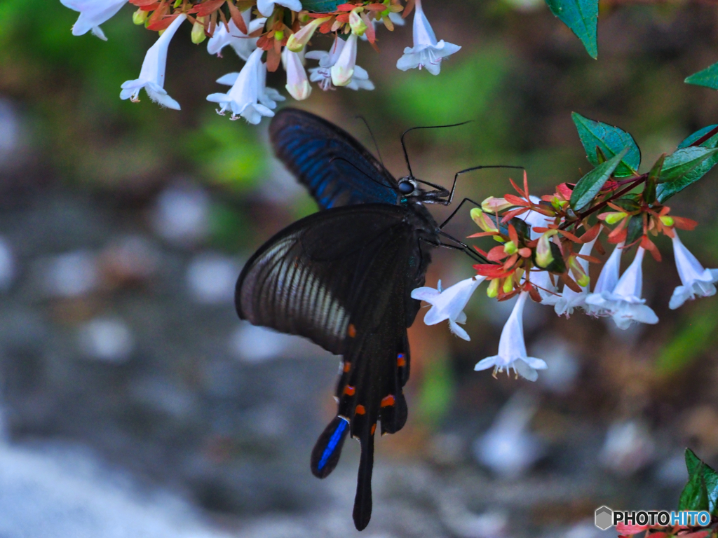 2021-07-10_近くの公園-2