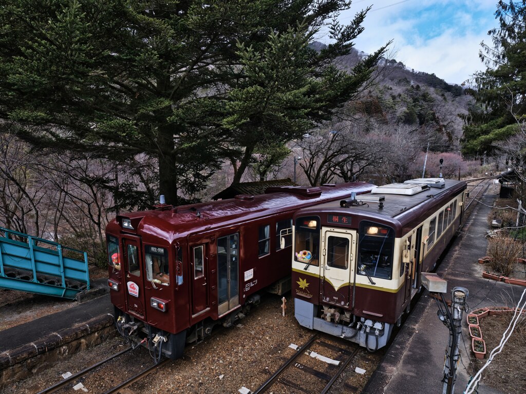 2024-02-18_わたらせ渓谷鉄道(沢入駅)-2