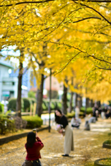 2025-11-24_駅東公園イチョウ並木-2