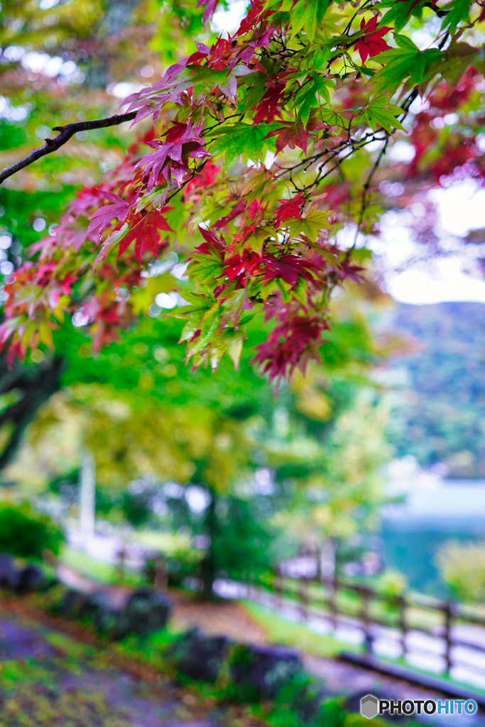 2020-10-09_中禅寺湖(2)