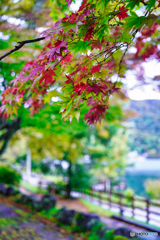 2020-10-09_中禅寺湖(2)