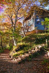 2023-11-04_山のレストラン(霧降の滝)