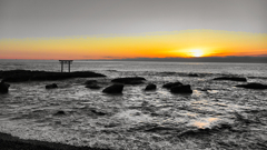 2026-02-01_神磯の鳥居-2