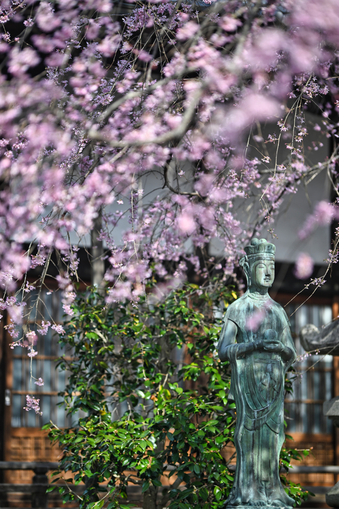 2025-03-30_福厳寺-2