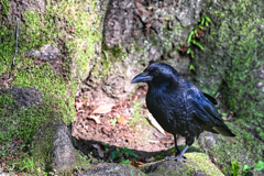 2023-05-30_栃木県 中央公園-2