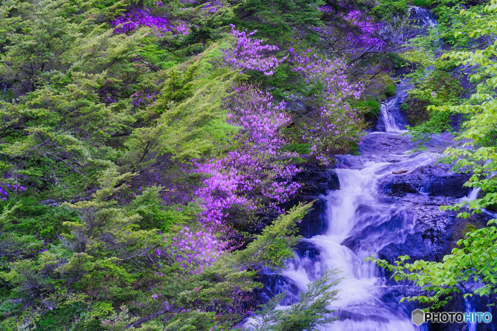 2021-05-26_竜頭ノ滝-1