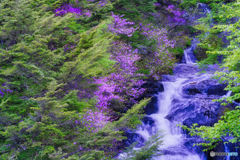 2021-05-26_竜頭ノ滝-1