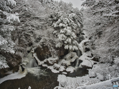 2021-01-24_日光(3)