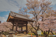 2021-04-02_最上稲荷大明神(2)