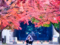 2025-11-23_大山公園（那須塩原市）-1