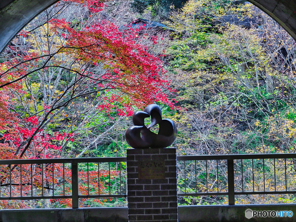 2020-11-14_袋田の滝(1)