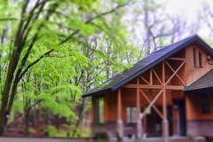 2023-05-14_大沼公園-1