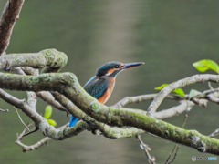 2021-09-12_井頭公園-2