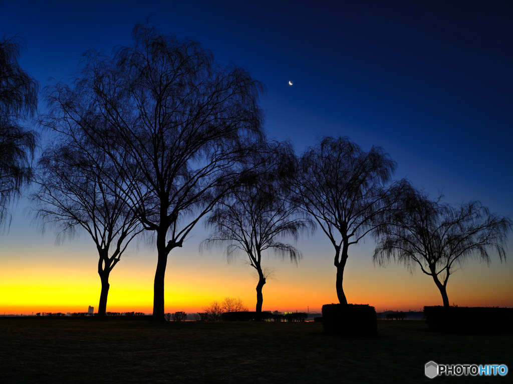 2021-12-30_渡良瀬遊水地-1