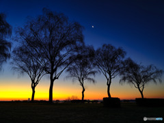 2021-12-30_渡良瀬遊水地-1