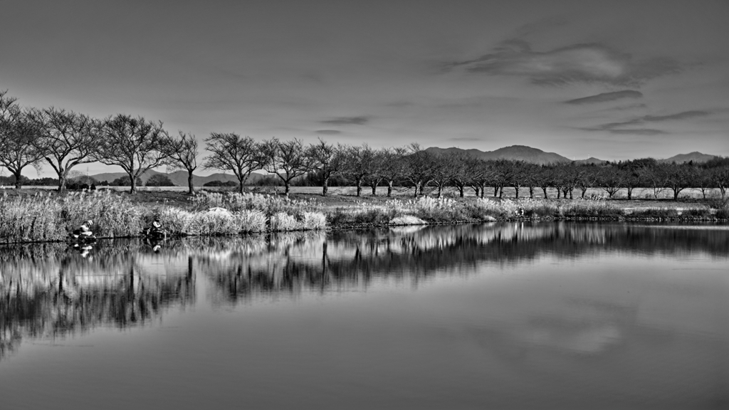 2025-11-29_母子島遊水地-1