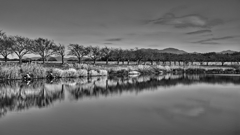 2025-11-29_母子島遊水地-1