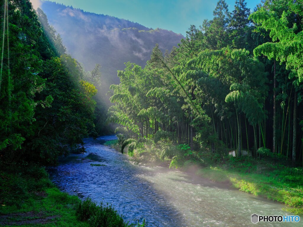 2021-09-19_彼岸花群生地-1