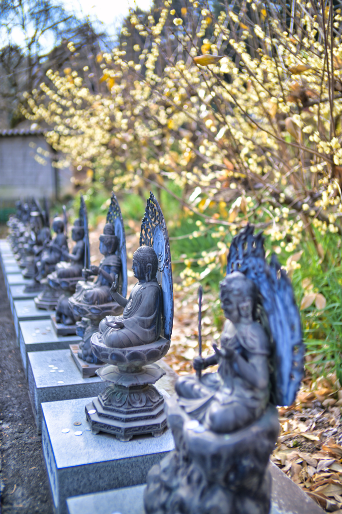 2025-01-19_清水寺-3