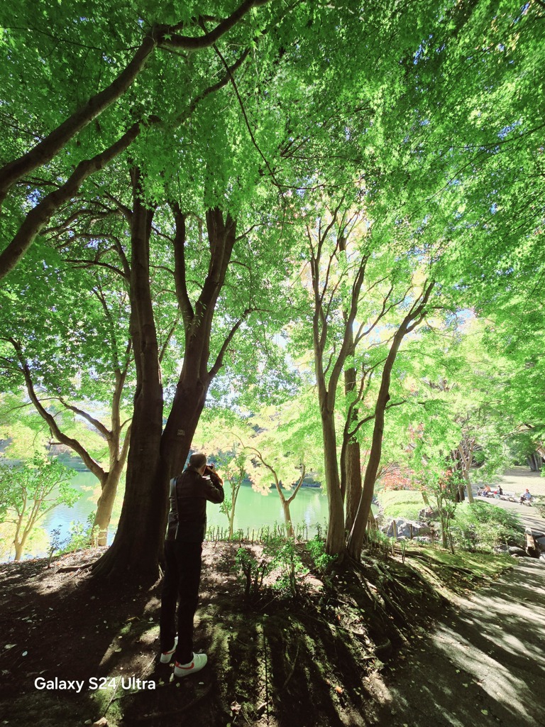2024-11-09_栃木県中央公園-3