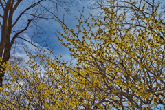 2021-03-06_那珂川 河畔公園