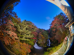 2025-10-24_竜頭の滝 2025-10-24_竜頭の滝