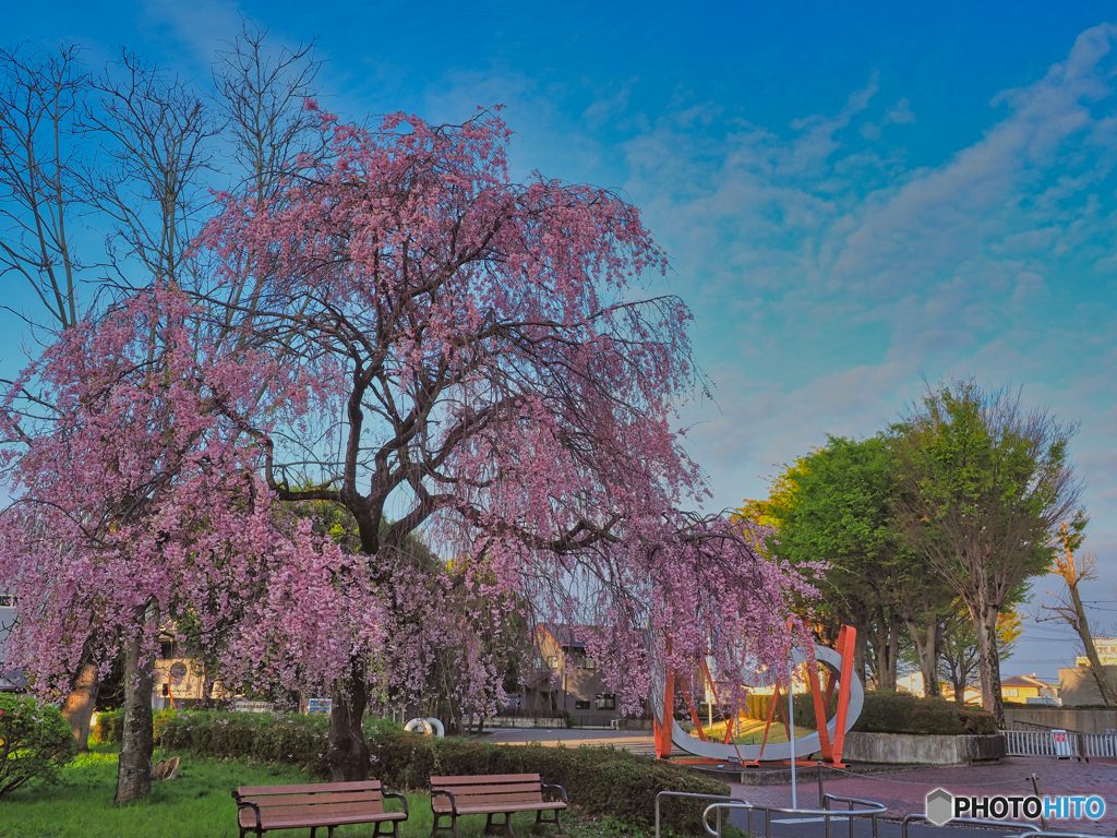 2021-04-06_桜美公園