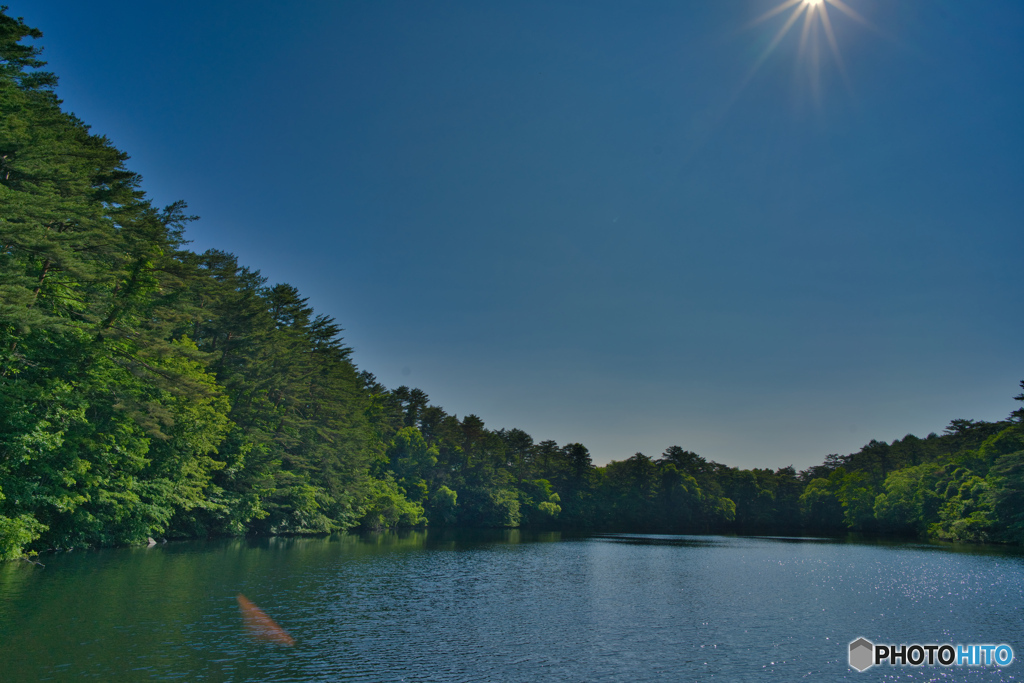 2020-06-21_五色沼_柳沼(1)