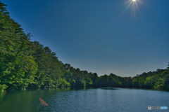 2020-06-21_五色沼_柳沼(1)