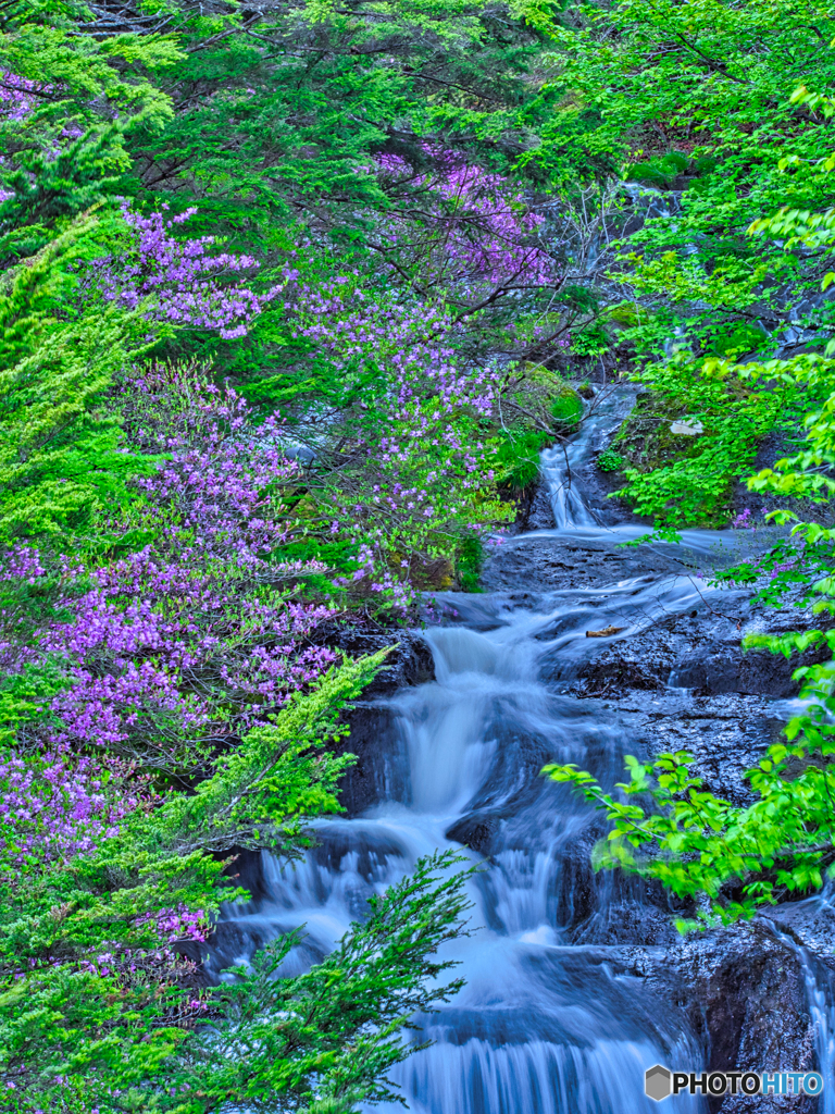 2021-05-26_竜頭ノ滝-6