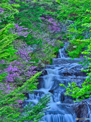 2021-05-26_竜頭ノ滝-6