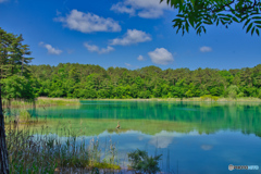 2020-06-21_弁天沼(4)