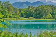 2020-06-21_五色沼_るり沼(1)